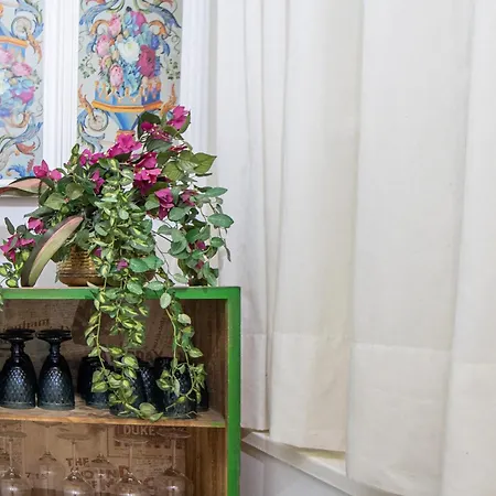 El Paseo De La Alameda De