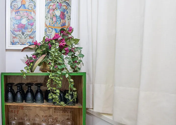 El Paseo De La Alameda De